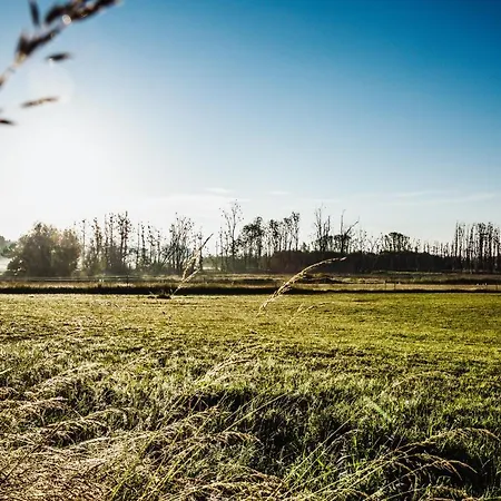 Tinyhouse Am Obsthain Feriehus Poseritz