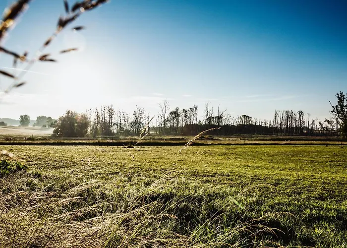 Tinyhouse Am Obsthain Vakantiehuis Poseritz